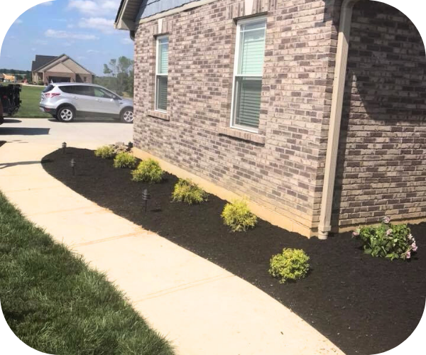 click here to learn more about our  services