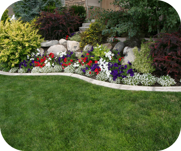 beautiful flower beds 