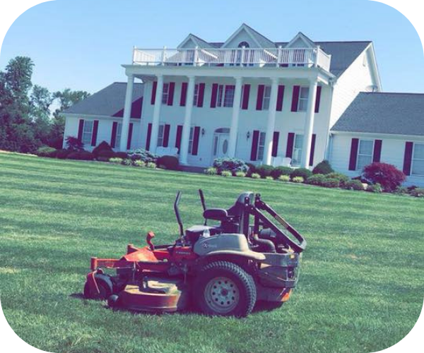 freshly mowed lawn 