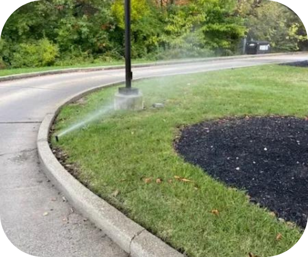 sprinkler system 